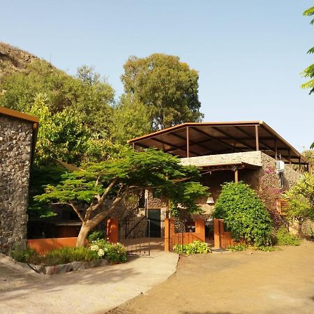 Villa Peaceful House Set On A Vineyard & Work Friendly Valsequillo Exterior foto