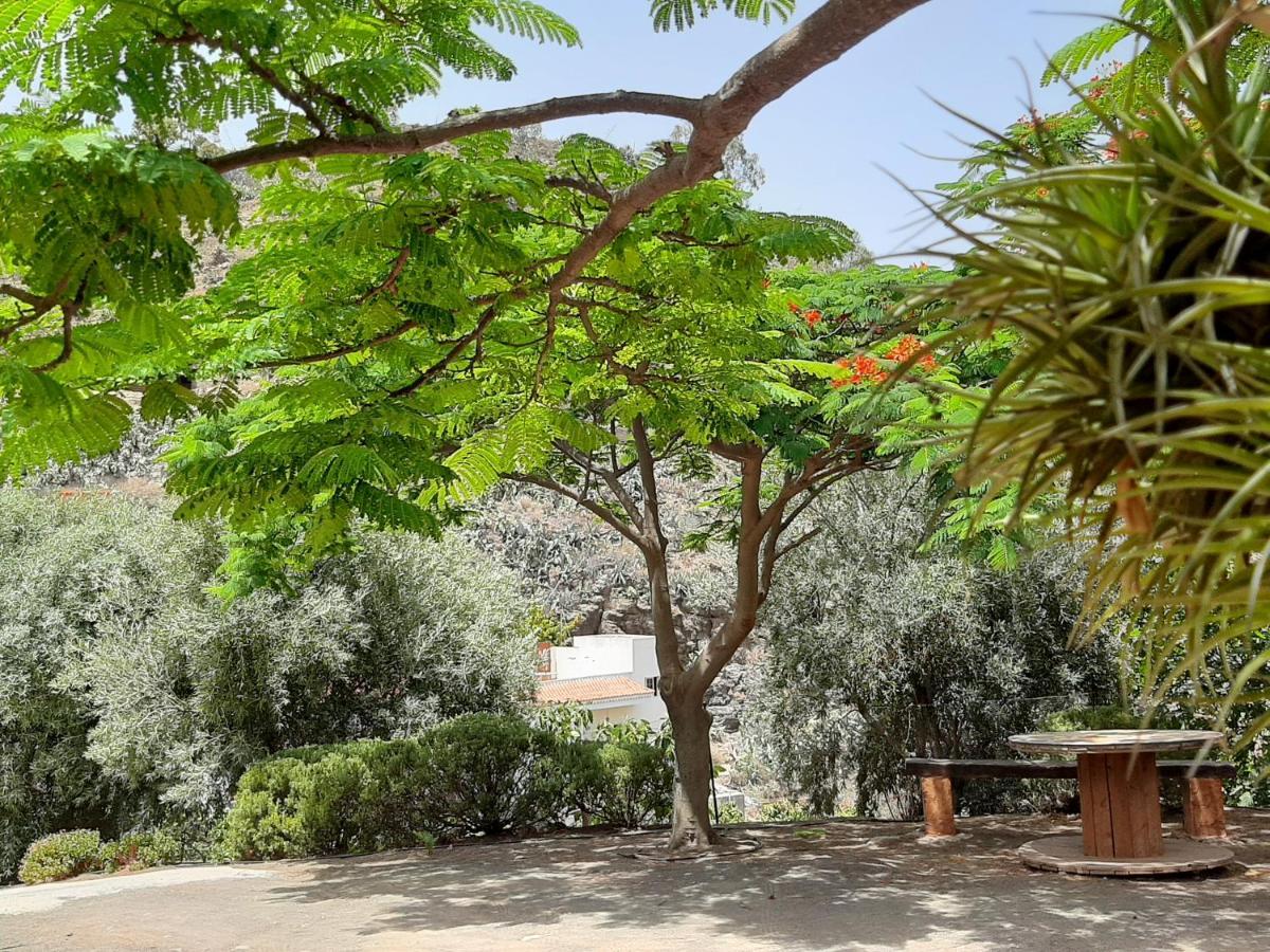 Villa Peaceful House Set On A Vineyard & Work Friendly Valsequillo Exterior foto